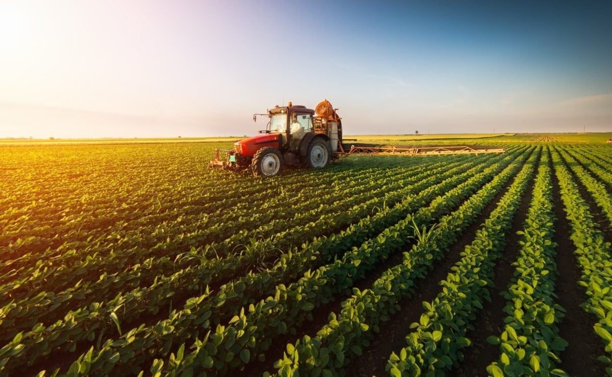 Steel drums for agricultural chemicals, insecticides and fertilizers Pakistan